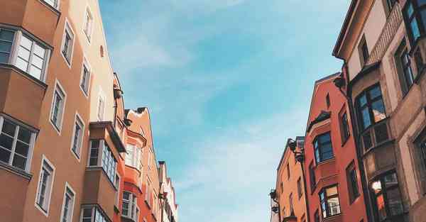 佛跳墙最新版下载v2.